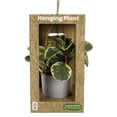 thumbnail image 1 of 5" Premium Foliage Hanging Pot, 1 of 5