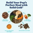 thumbnail image 9 of Solid Gold Bone Broth with Turmeric Dog Food Topper,16 oz., 2 pk., 9 of 10