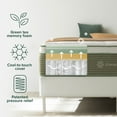 thumbnail image 2 of ZINUS Night Therapy 14” Cooling Hybrid Mattress Set With Antimicrobial Cover, 2 of 10