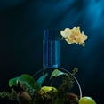 thumbnail image 7 of Messi Men Eau De Parfum, 3.38oz, 7 of 8