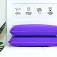 thumbnail image 2 of Imaginarium 2-Pack Memory Foam Fun Pillow with Cooling Cover, 2 of 8