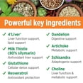 thumbnail image 6 of Doctors' Preferred Liver Defense+ with Milk Thistle, 90 Capsules, 6 of 9