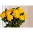 thumbnail image 6 of Member's Mark Premium Dozen Roses, 12 stems, color and variety may vary, 6 of 6