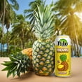 thumbnail image 5 of Nilo Pineapple Juice, 10.82 fl. oz., 12 pk., 5 of 7