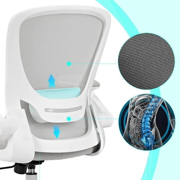Onyx Ergonomic Office Chair - Samsclub.com