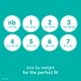 thumbnail image 3 of Pampers Baby Dry Diapers, Sizes 1-7, 3 of 11