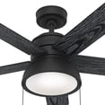 thumbnail image 14 of Hunter 44" Lilliput Ceiling Fan with Light Kit and Pull Chain, 14 of 14