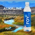 thumbnail image 4 of FOY Springs Naturally Alkaline Bottled Spring Water, 500 mL, 24 pk., 4 of 8