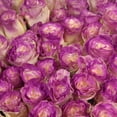 thumbnail image 5 of Member's Mark Illusion Roses, 96 stems, Choose color variety, 5 of 7