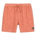 thumbnail image 9 of Quiksilver Men's Swim Trunks, 9 of 24