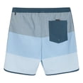 thumbnail image 9 of Quiksilver Men's Swim Trunks, 9 of 23