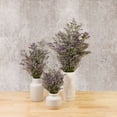 thumbnail image 5 of Member's Mark Limonium, 60 Stems, choose color, 5 of 6