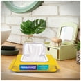 thumbnail image 9 of Preparation H Hemorrhoid Wipes with Witch Hazel, 180 ct., 9 of 9