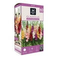 thumbnail image 1 of Member's Mark Gladiolus Large Flowering Blend Dormant Bulbs, 60pk, 1 of 9