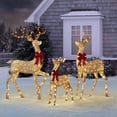 thumbnail image 1 of Member's Mark 3 Piece Pre-Lit Twinkling Deer Family, 1 of 6