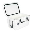 thumbnail image 2 of Lifetime 65-Quart High Performance Cooler, Choose Color, 2 of 10