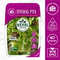thumbnail image 4 of Revol Greens Spring Mix, 16 oz., 4 of 6