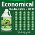 thumbnail image 4 of OdoBan Odor Eliminator and Disinfectant Concentrate, 4 pk., Choose Scent, 4 of 7