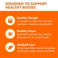 thumbnail image 4 of IAMS Proactive Health Indoor Weight Hairball Care Chicken Adult Dry Cat Food, 25 lbs., 4 of 12