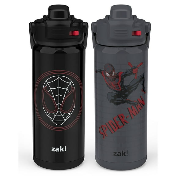 Zak Designs 20-oz. Stainless Steel Double Wall Beacon Straw Bottle for Kids, 2 pack, Choose Character
