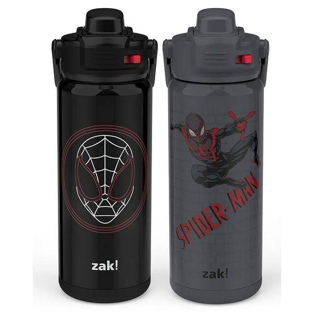 Zak Designs 20-oz. Stainless Steel Double Wall Beacon Straw Bottle for Kids, 2 pack, Choose Character