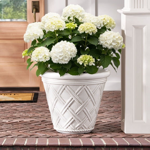 Member's Mark 22" Garden Planter