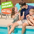 thumbnail image 6 of SuperJuice Organic Freezie Pops, 35 pk., 6 of 7