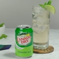 thumbnail image 4 of Canada Dry Ginger Ale Mini Can 8 fl. oz., 20 pk., 4 of 5