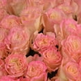 thumbnail image 5 of Member's Mark Illusion Roses, 96 stems, Choose color variety, 5 of 7