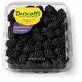 thumbnail image 1 of Blackberries 18 oz., 1 of 5