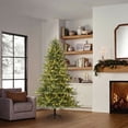 thumbnail image 2 of Member's Mark 7.5' Welch Pine Pre-Lit Christmas Tree, 2 of 10