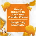 thumbnail image 5 of Pepperidge Farm Goldfish Crackers, 22 oz., 3 pk., 5 of 7