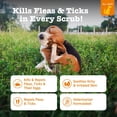 thumbnail image 4 of Zesty Paws Flea & Tick Shampoo for Dogs, to Repel, Control, and Prevent Fleas & Ticks, 32oz, 4 of 5