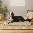 thumbnail image 4 of Member's Mark Lounger Pet Bed, 30"x40", Choose Color, 4 of 4