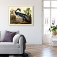thumbnail image 3 of Louisiana Heron Traditional Canvas Print by Oliver Gal Prints, 3 of 4