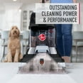 thumbnail image 4 of Hoover Pet Carpet Cleaning Solution, 4 of 6