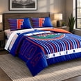 thumbnail image 4 of Logo Brands Florida Queen Bed-In-A-Bag Set, 4 of 5