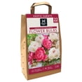 thumbnail image 1 of Member's Mark Peony and Nectaroscordum Dormant Bulbs, 22pk, 1 of 10