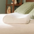 thumbnail image 1 of Tempur-Pedic TEMPUR-Neck Pillow, Standard, 1 of 9