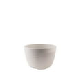 thumbnail image 3 of Costa Farms Medium Bonsai Plant in Decorative Pot, 3 of 9