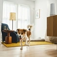 thumbnail image 9 of SimpliSafe 13pc Security System with Outdoor Camera Series 2, 9 of 9