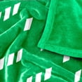 thumbnail image 5 of Logo Brands Acadiana High School 60"x70" Super Plush Blanket, 5 of 7