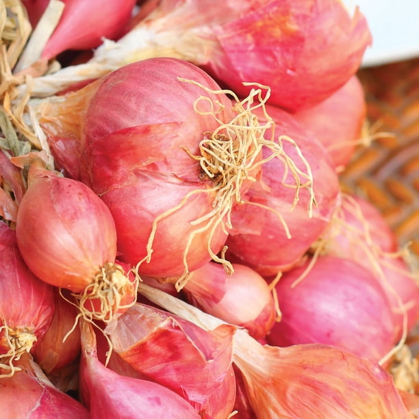 Member's Mark Garlic, Onions & Shallots, 200pk - Samsclub.com