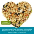 thumbnail image 4 of Love My Girls 2-pack Fruit & Worms 5lb Chicken Treat Bags, 4 of 7