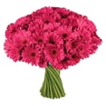 thumbnail image 2 of Member's Mark Gerbera Daisies, choose color and stem count, 2 of 7