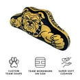 thumbnail image 3 of Logo Brands North Carolina A&T Aggies XL Puff Pillow, 3 of 5