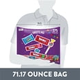 thumbnail image 4 of Hershey Assorted Fruit Flavored Candy, 275 pcs., 4 of 9