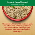 thumbnail image 8 of Royal Sona Masoori Organic Rice, 20 lbs., 8 of 10