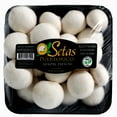 thumbnail image 1 of Mushrooms of Puerto Rico Whole Mushrooms 20 oz., 1 of 2