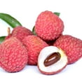 thumbnail image 2 of Fresh Lychee, 1.5 lbs., 2 of 6
